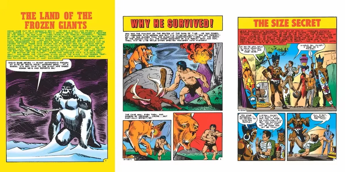 Ditko product preview 4